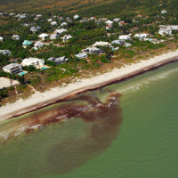 Aerial1_1